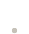 tecnologico